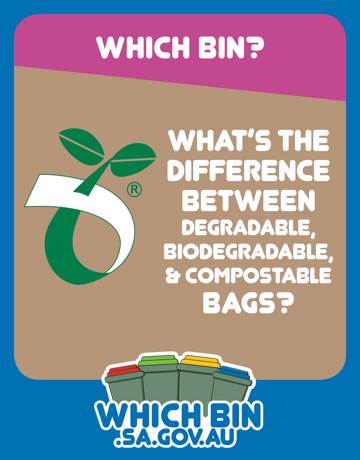Compostable, degradable and biodegradable plastic: what’s the difference?