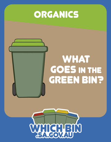 What goes in the green bin?
