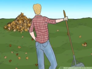 Mulch-Leaves-with-a-Lawn-Mower-Step-7